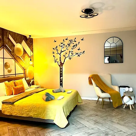 Apartment Ap 4 Brasov